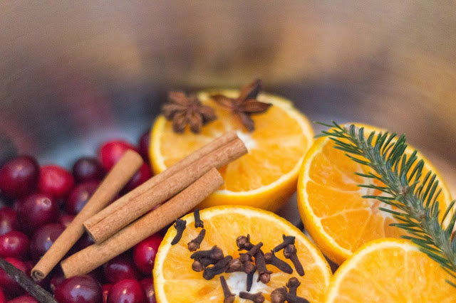 dc4a0-christmas-stove-top-potpourri-2