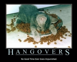 hangoverpicture