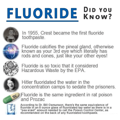Image result for fluoride dangers