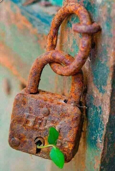 pictureflowerlock